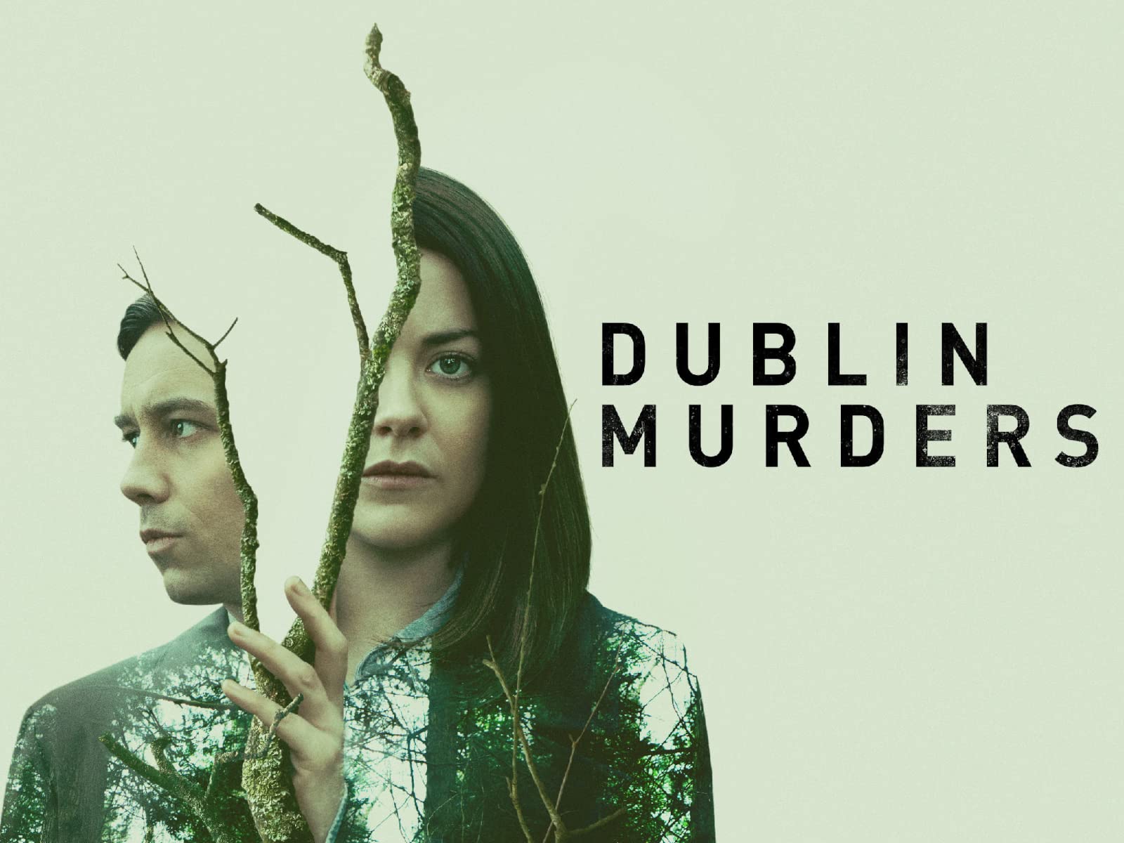Murder in Dublin